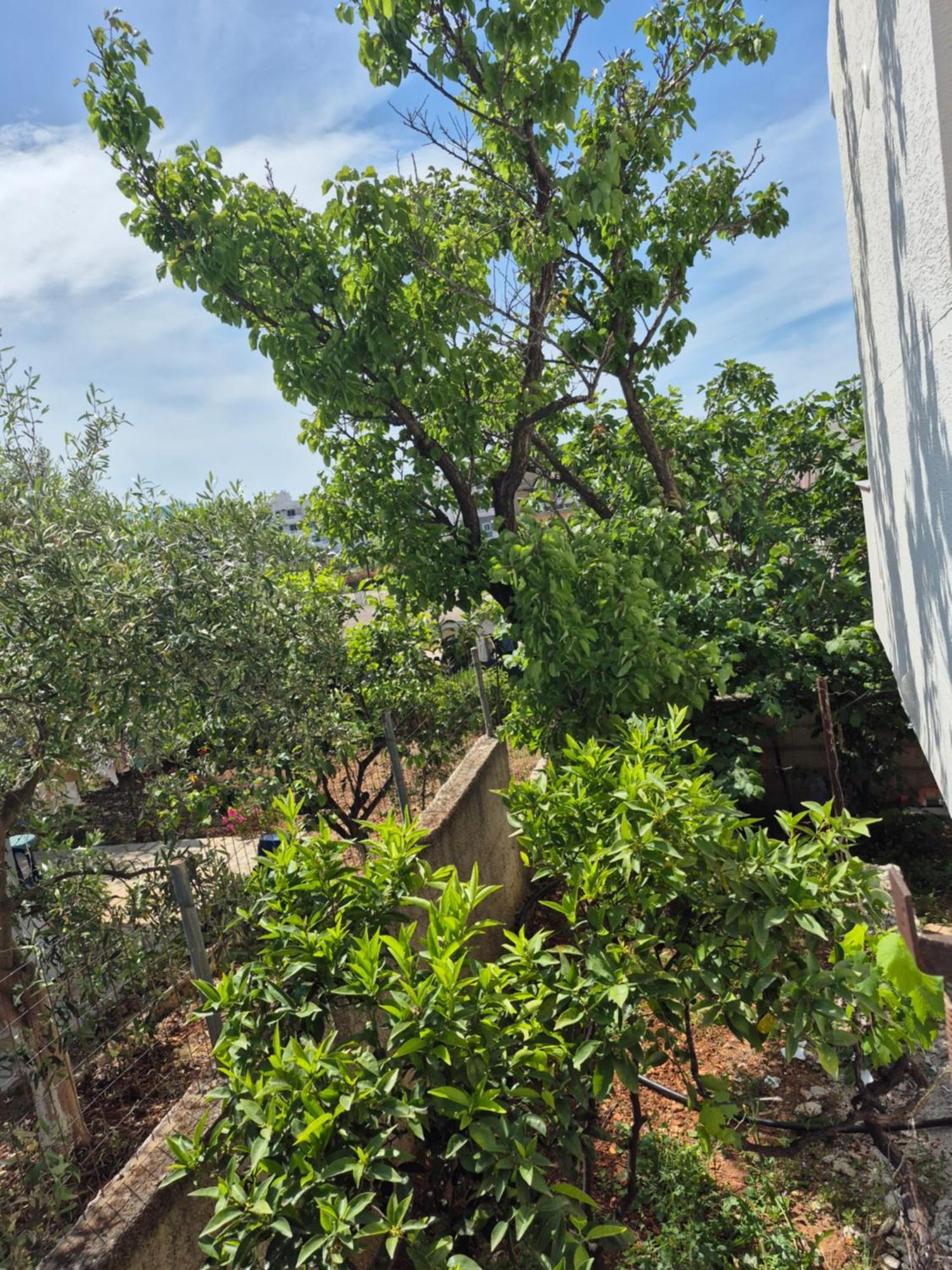 Vita Apartment - Spacious Garden And Balcony 5 Min To Beach & Center Ksamil Extérieur photo