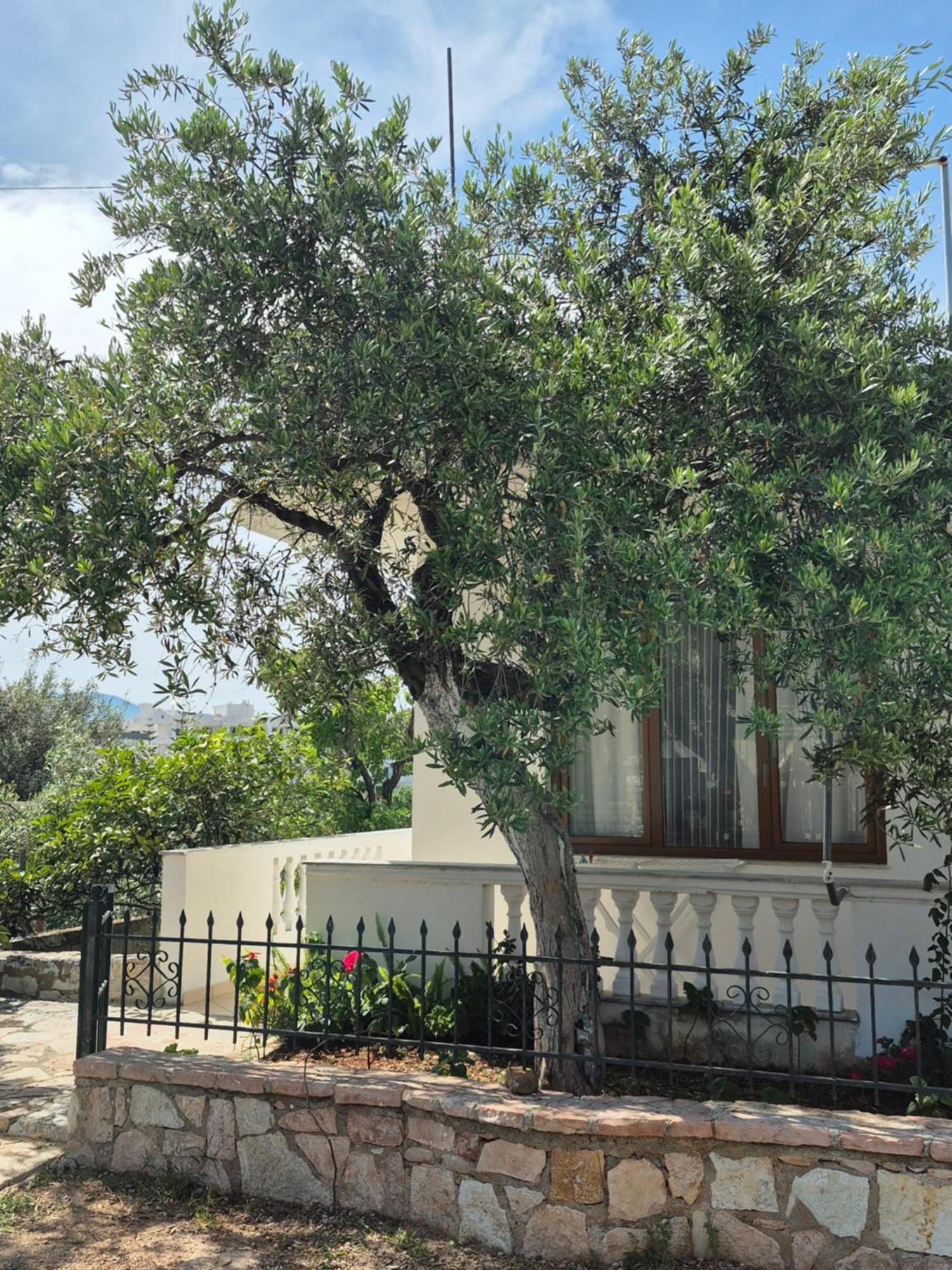 Vita Apartment - Spacious Garden And Balcony 5 Min To Beach & Center Ksamil Extérieur photo